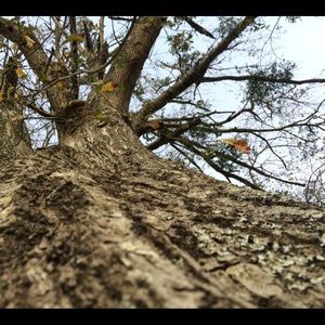 Meet your Posher, Dev